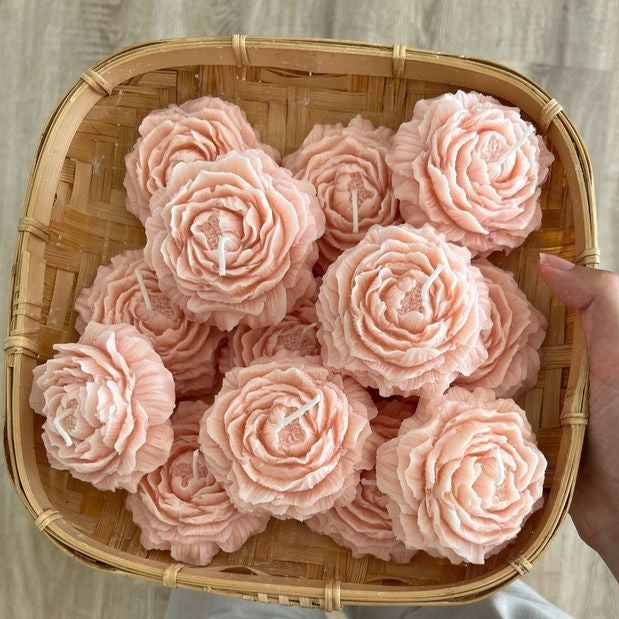 Pastel Dreams (Pack of 8)