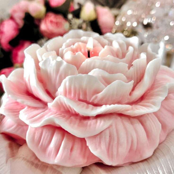Pastel Dreams (Pack of 8)